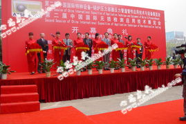 婚慶與慶典禮儀 締造完美時(shí)刻的藝術(shù)